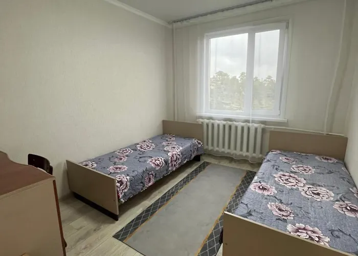 Трёхкомнатная Квартира В Центре Борового